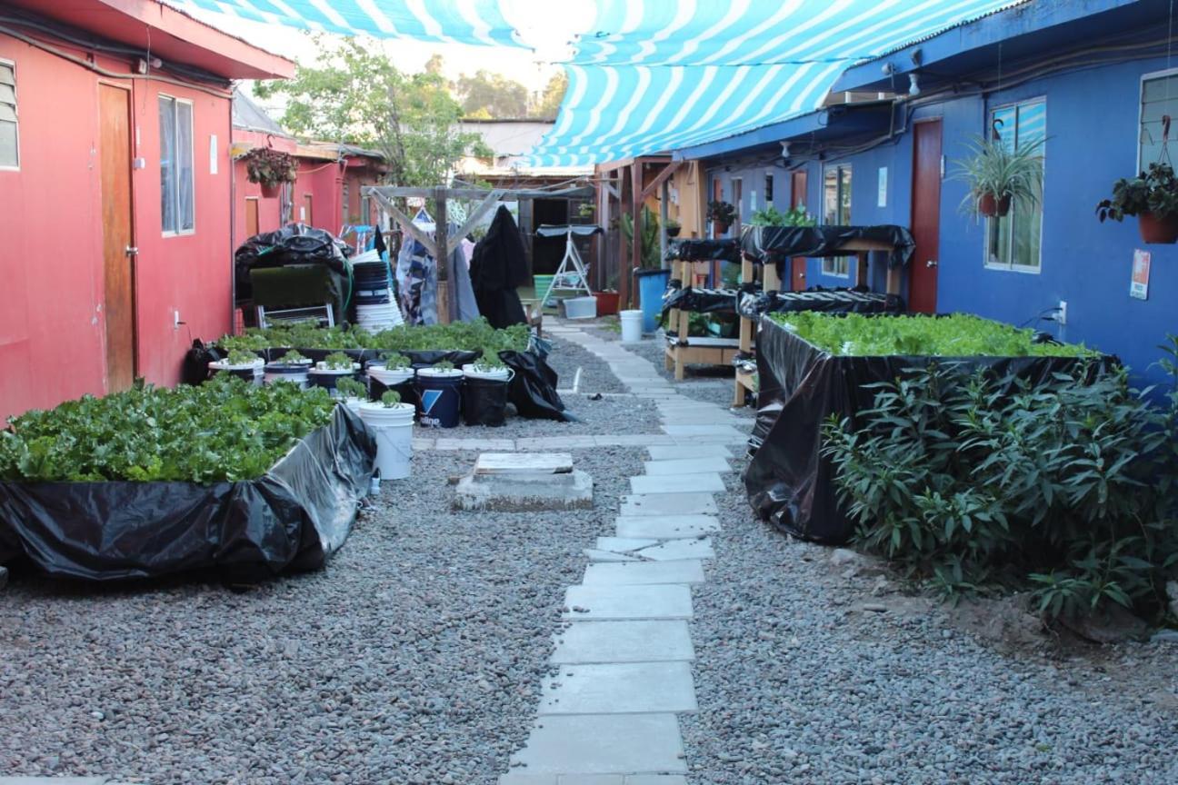 El Valle Copiapó Buitenkant foto